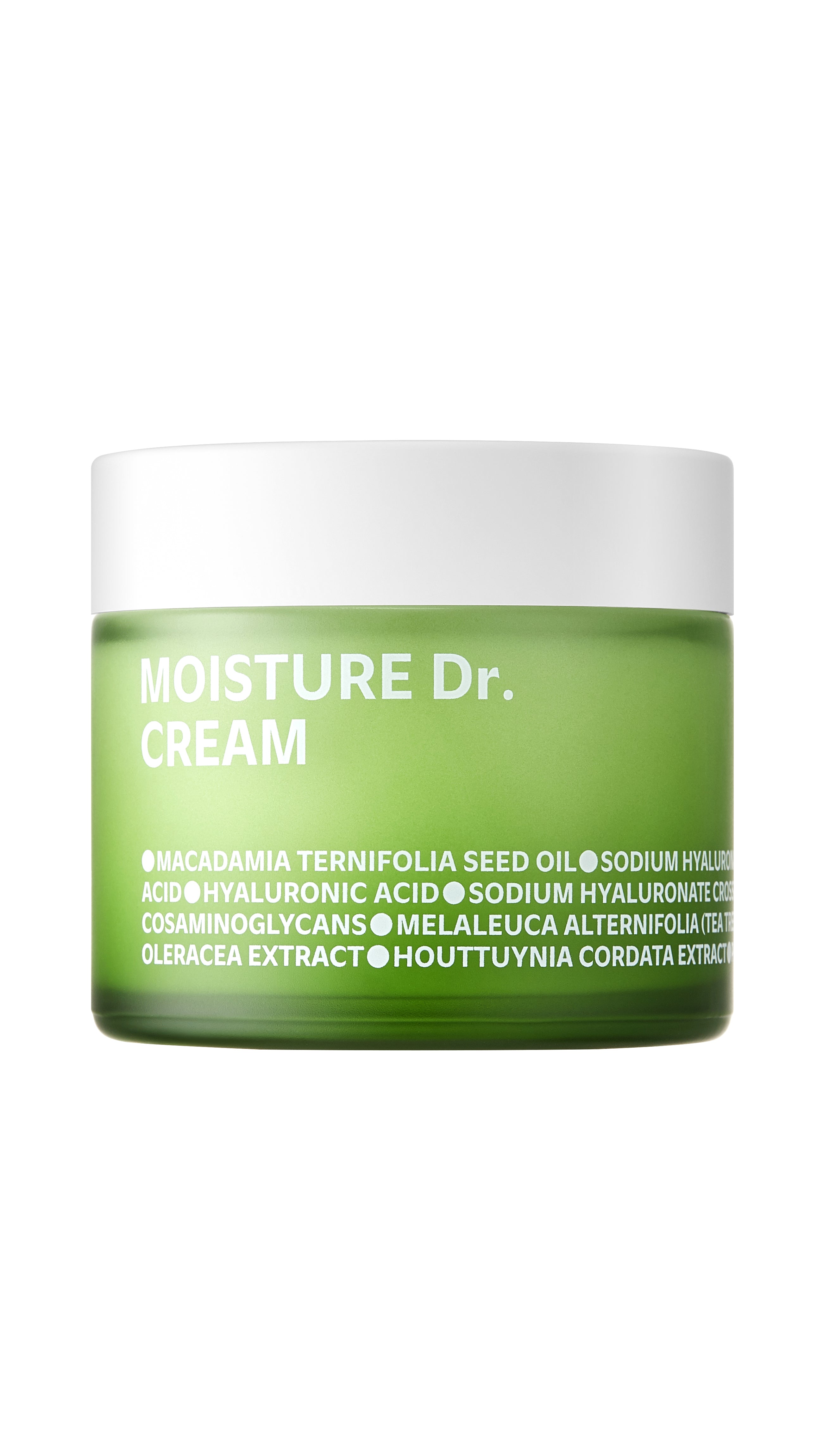 MOISTURE DR. CREAM 2.36 fl oz.